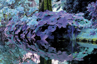 "La Planète bleue-016", photographie, tirage limité sur papier couleur 20x30 cm, sans cadre